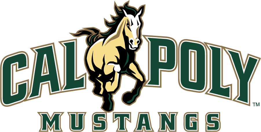 Cal Poly Mustangs 2021-Pres Wordmark Logo iron on transfers for clothing